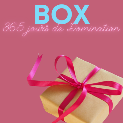 Box 365 jours de Domination